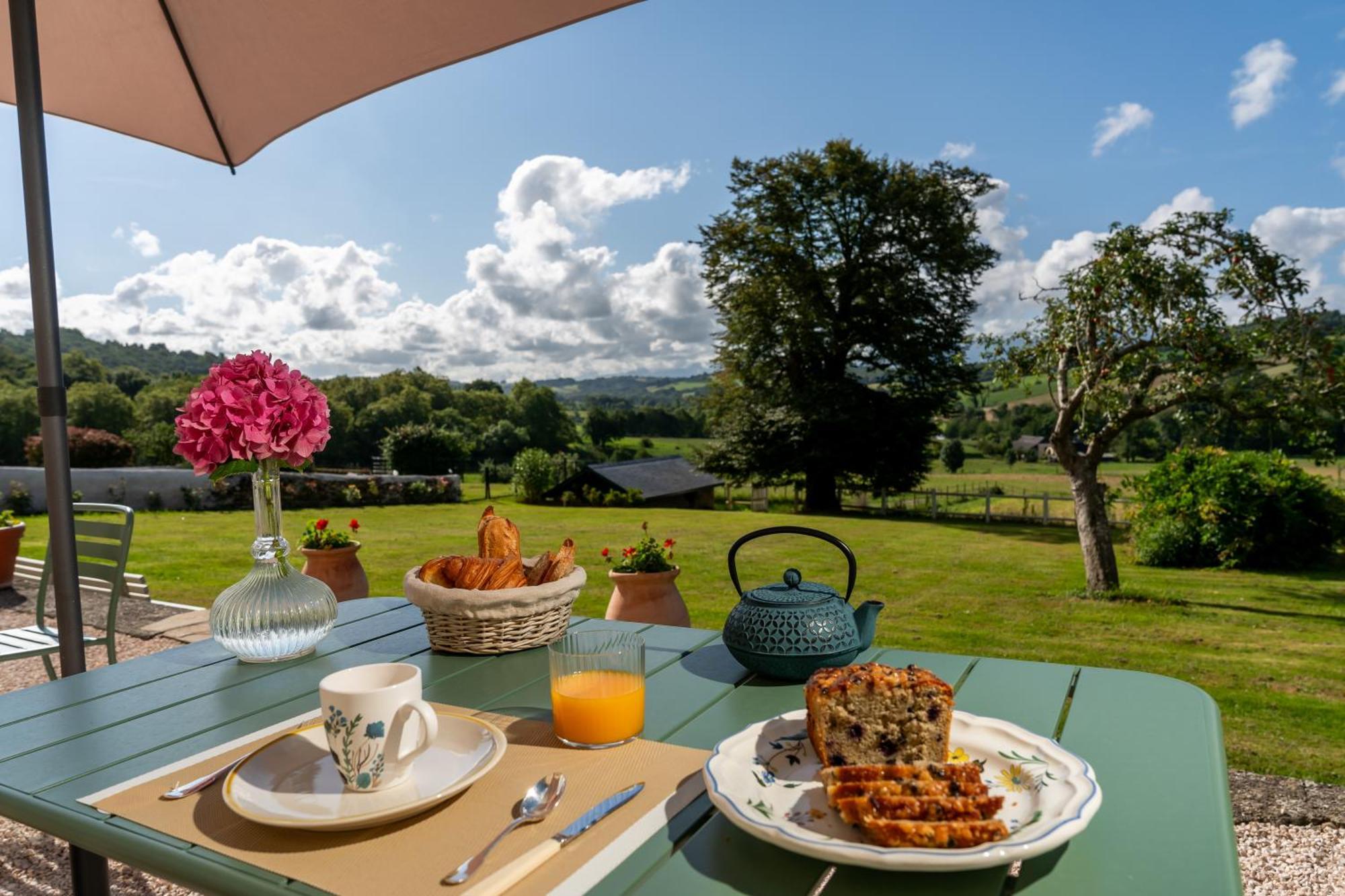 Le Relais Du Faget Hotel Oloron-Sainte-Marie Eksteriør billede